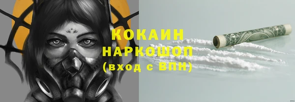 спайс Карпинск