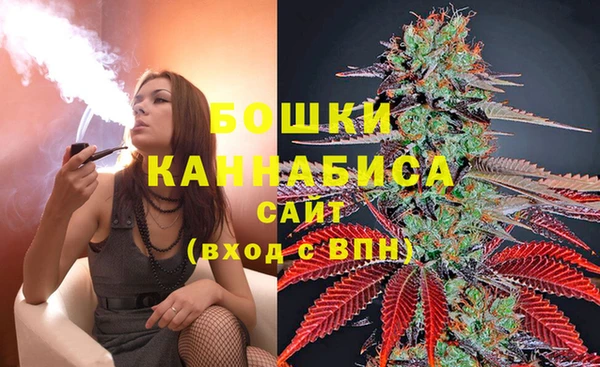 спайс Карпинск