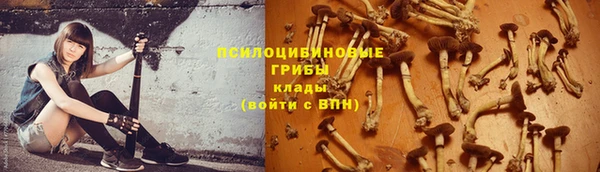 mdpv Карталы