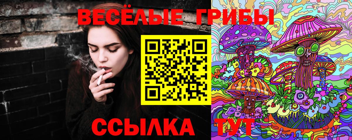 Петрозаводск  Галлюциногенные грибы MAGIC MUSHROOMS  Вход с VPN 