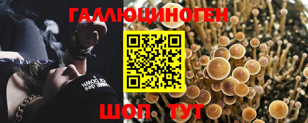 Псилоцибиновые грибы мицелий  где найти   Вход с VPN  Петрозаводск  Псилоцибиновые грибы Cubensis 
